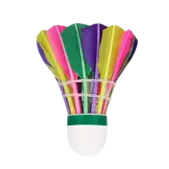 shuttlecock shuttlecock