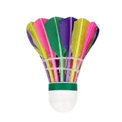 shuttlecock shuttlecock